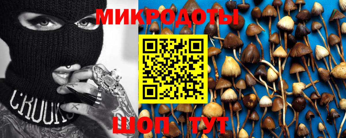 Псилоцибиновые грибы ЛСД Карасук